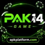 Pak14 Game
