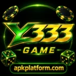 Y333 Game