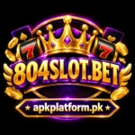 804Slot Game