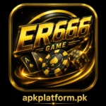 ER666 Game