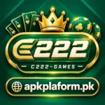 c 222 game