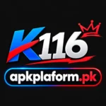 K116 Game